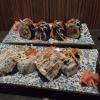 Dragon Maki